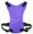 Dog Safety Harness