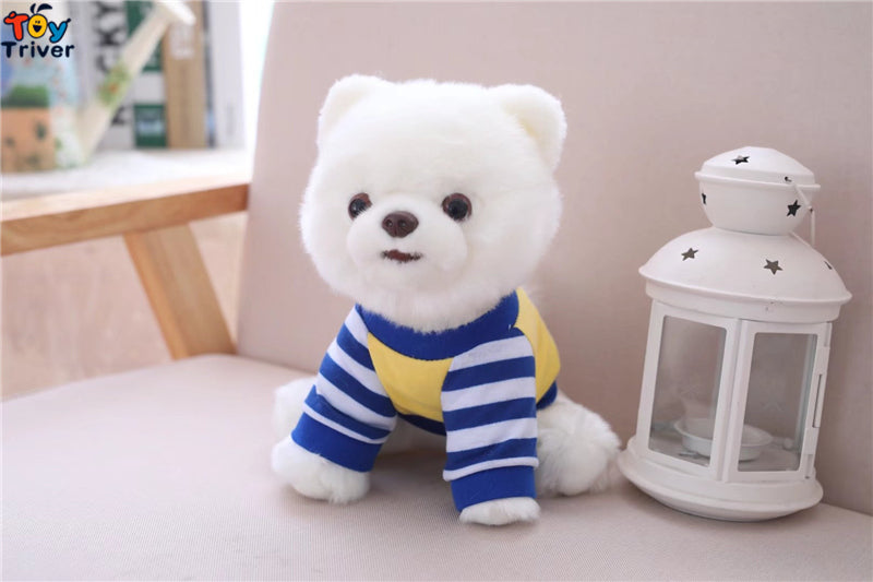 Pomeranian Toy
