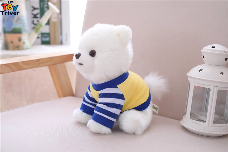 Pomeranian Toy
