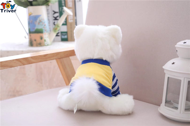 Pomeranian Toy
