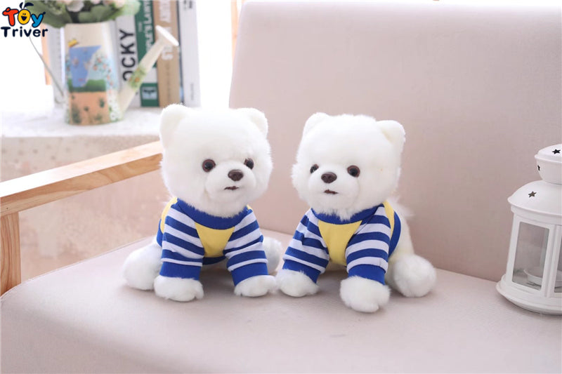 Pomeranian Toy