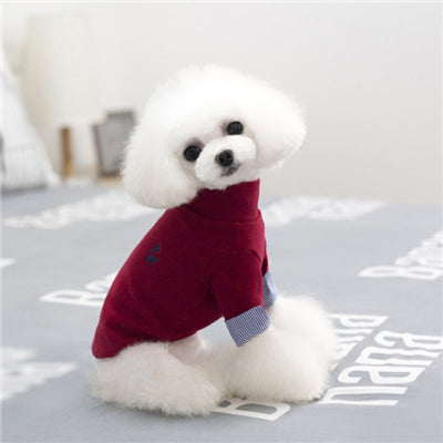 Gentleman Puppy Turtleneck