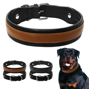 Leather Big Dogs Collar