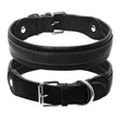 Leather Big Dogs Collar