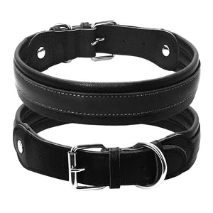 Leather Big Dogs Collar
