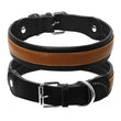 Leather Big Dogs Collar