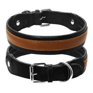 Leather Big Dogs Collar