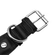 Leather Big Dogs Collar
