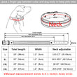 Leather Big Dogs Collar