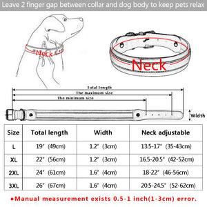 Leather Big Dogs Collar