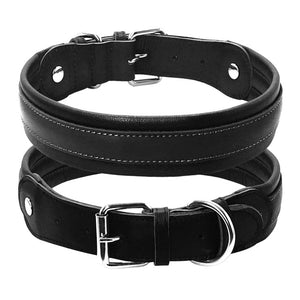 Leather Big Dogs Collar