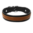 Leather Big Dogs Collar