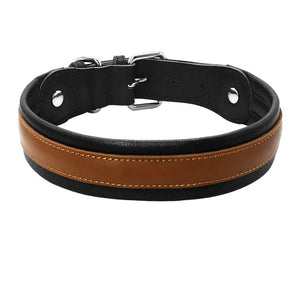 Leather Big Dogs Collar