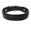 Leather Big Dogs Collar