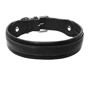 Leather Big Dogs Collar