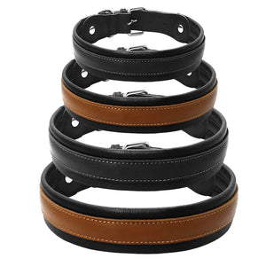 Leather Big Dogs Collar