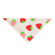 Dog Saliva Bandana
