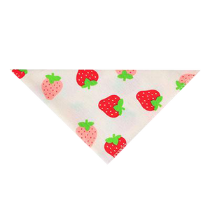 Dog Saliva Bandana