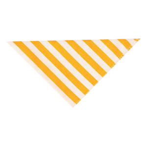 Dog Saliva Bandana