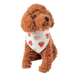 Dog Saliva Bandana