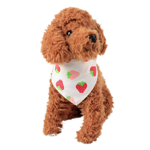 Dog Saliva Bandana