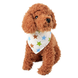 Dog Saliva Bandana