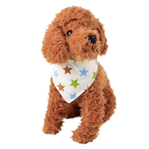 Dog Saliva Bandana