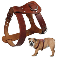 Royal Genuine Leather Dog Harness