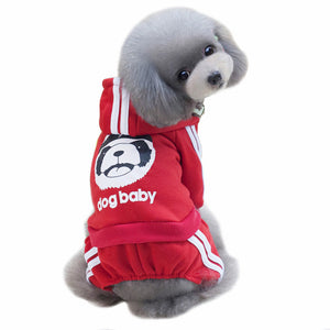 Pebble Dog Suit