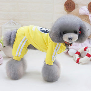 Pebble Dog Suit