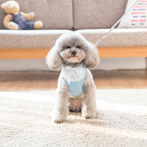 Lace Harness Top + Leash