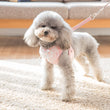 Lace Harness Top + Leash