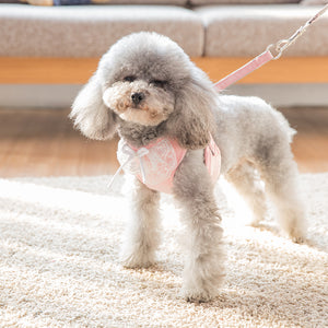 Lace Harness Top + Leash