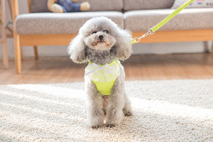 Lace Harness Top + Leash