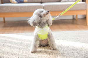 Lace Harness Top + Leash