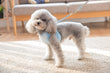 Lace Harness Top + Leash