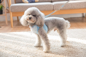 Lace Harness Top + Leash
