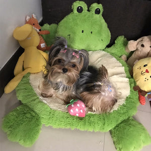 Anna's Dog Bed