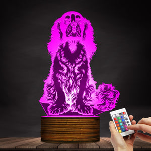 Cavalier Changing Colors Led Lamp
