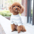 Boo T-Shirt