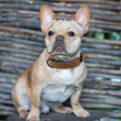 Genuine Leather Collars