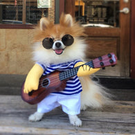 Guitar Baby Costume