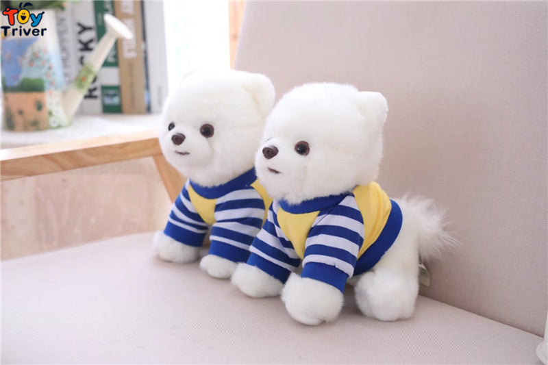 Pomeranian Toy