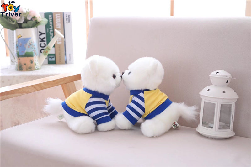 Pomeranian Toy