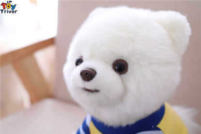 Pomeranian Toy