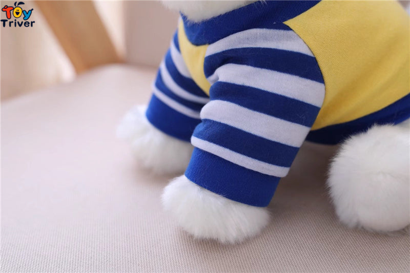Pomeranian Toy