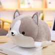 Cory Corgi Plush Toy