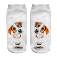 Jack Russell Ankle Socks