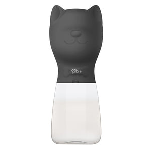 Sippy Water Bottle