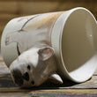 3D French Bulldog Mug